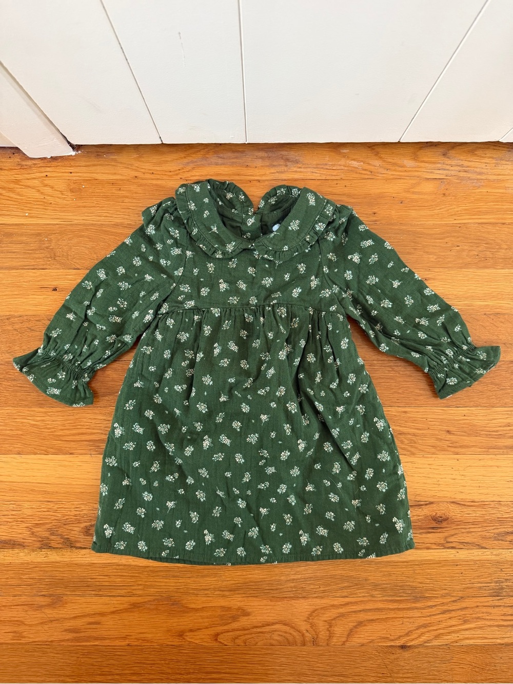 Cloud Island Baby Girl Green Floral Peter Pan Collar Dress | 18M